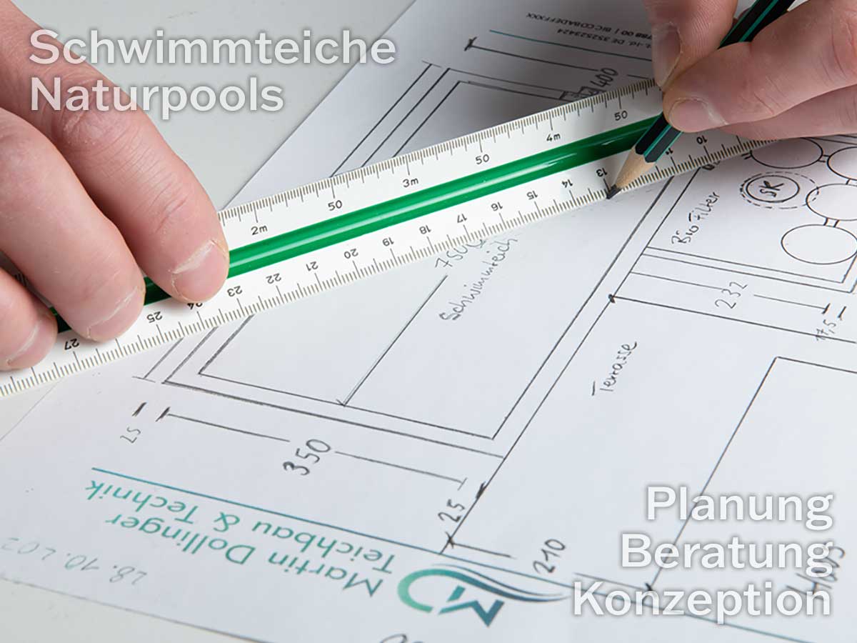 Schwimmteiche Beratung Planung Konzeption